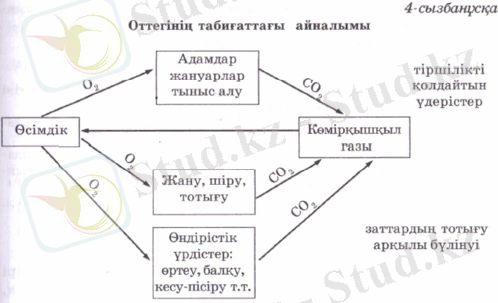4-shema.PNG
