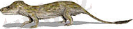 https://upload.wikimedia.org/wikipedia/commons/thumb/3/39/Oligokyphus_BW.jpg/200px-Oligokyphus_BW.jpg