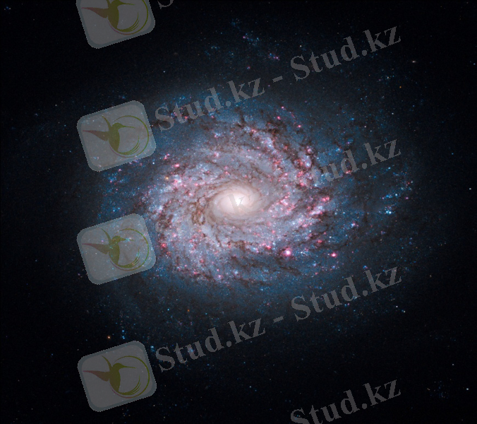 Sb_sverhu_3.jpg