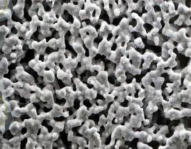 figure4