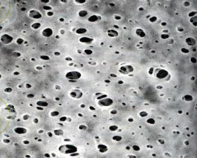 figure5