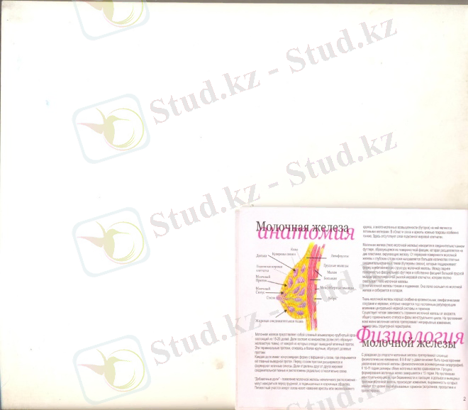 http://kzdocs.docdat.com/pars_docs/refs/46/45796/45796_html_7db5dfbf.jpg