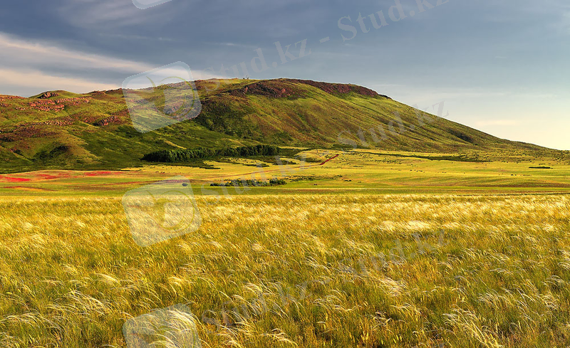 http://www.visitkazakhstan.kz/uploads/img/3266512_large.jpeg