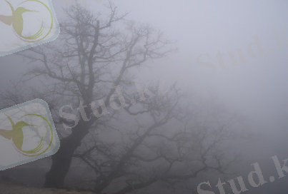 http://upload.wikimedia.org/wikipedia/commons/7/77/Fog.jpg