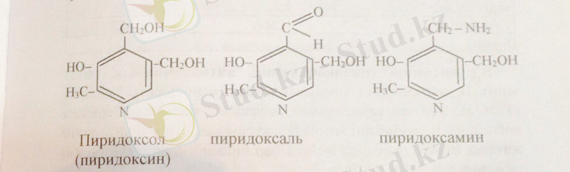 https://pp.vk.me/c627423/v627423675/1e8e0/ljp7HsquaLo.jpg