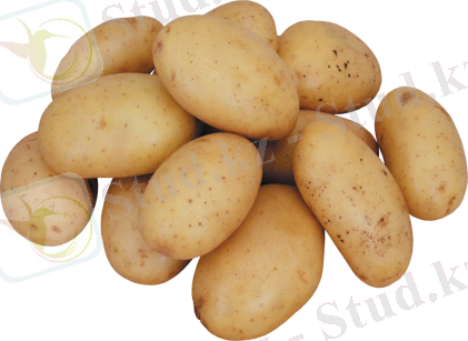 http://xn--54-dlcy2ab1f.xn--p1ai/images/1/potato_png2398.png