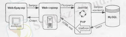 1,4-сур