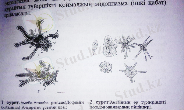 https://pp.vk.me/c626126/v626126514/4d6e/DEueFcvsNTs.jpg