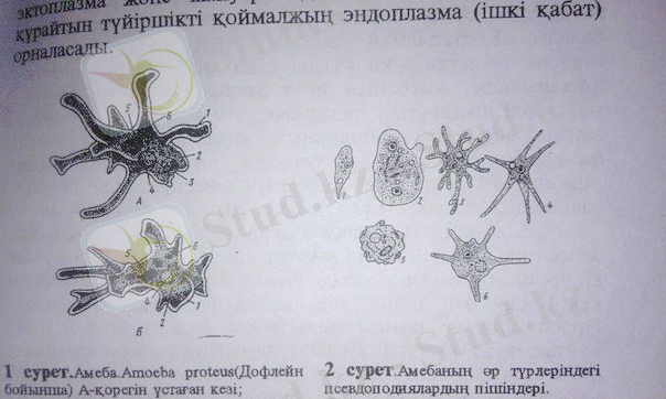 https://pp.vk.me/c626126/v626126514/4d6e/DEueFcvsNTs.jpg