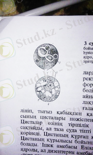 https://pp.vk.me/c626126/v626126514/4dba/wYisMjLRbGQ.jpg