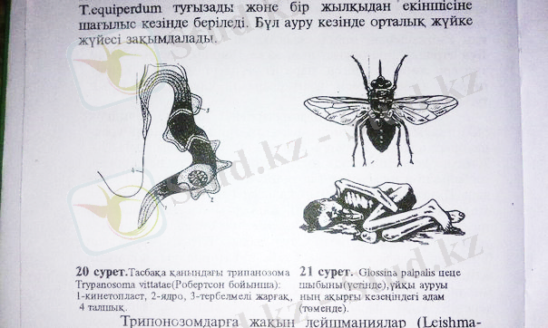 https://pp.vk.me/c626126/v626126514/4d17/GMzmFaHPXVE.jpg