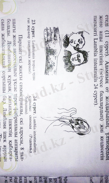 https://pp.vk.me/c626126/v626126514/4d0d/mg_dKGaCXHw.jpg