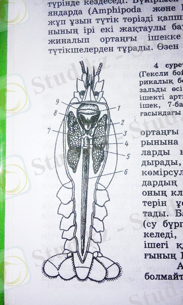 https://pp.vk.me/c636219/v636219181/6de/loNHd_sJTuU.jpg