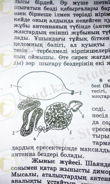 https://pp.vk.me/c636219/v636219181/6b6/kT0SZtWsiBw.jpg
