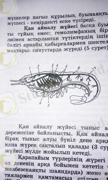 https://pp.vk.me/c636219/v636219181/6e8/W1g_jg_JcJE.jpg