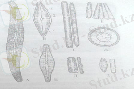 http://ok-t.ru/studopedia/baza11/2791577708489.files/image227.jpg
