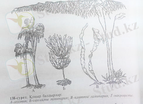 http://ok-t.ru/studopedia/baza11/2791577708489.files/image233.jpg