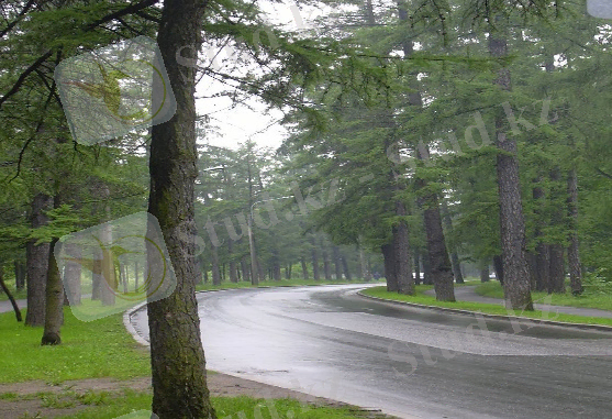 C:\Users\User\Desktop\800px-Put'.JPG