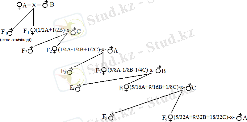 http://kze.docdat.com/tw_files2/urls_3/471/d-470147/470147_html_m71ad9b47.png