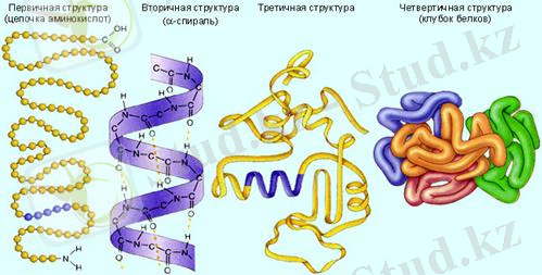 http://konspekta.net/lektsiiimg/baza1/133394090574.files/image091.jpg