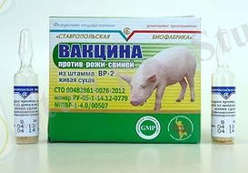 https://im2-tub-kz.yandex.net/i?id=e943ce995216ff3174eb1636d4ed11ab&n=33&h=190&w=273