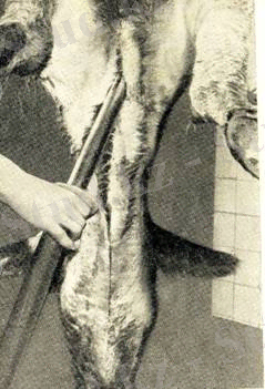 http://portal.kazatu.kz/e-books/content/krzrHpHPcumjz4712SNs/pages/5.2.files/image004.jpg