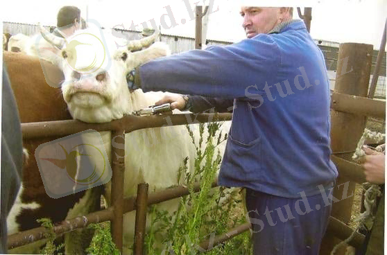 http://www.golostos.ru/pic/contactcenter/article/69/olpx/image008.jpg