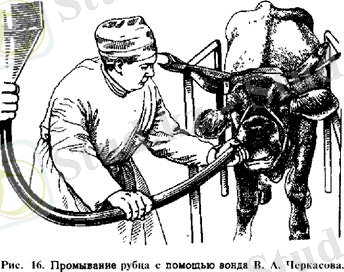 http://www.leks.su/theraphy/theraphy.files/image017.jpg