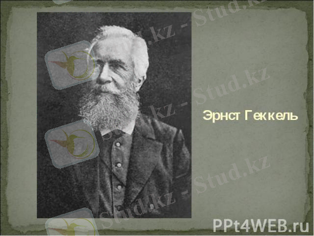http://fs1.ppt4web.ru/images/3958/63568/640/img5.jpg