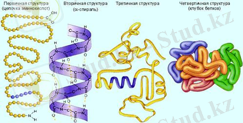 C:\Users\1\Desktop\image089.jpg