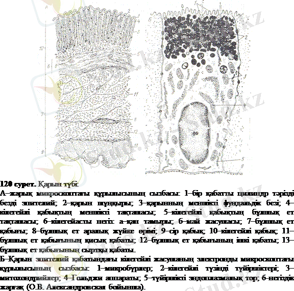 http://ebooks.semgu.kz/ebook/7/images/1179/894/clip_image002.gif