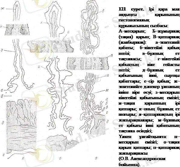 http://ebooks.semgu.kz/ebook/7/images/1179/894/clip_image004.gif