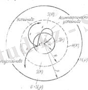 http://www.rusnauka.com/14_ENXXI_2013/Philologia/7_137523.doc.files/image509.jpg