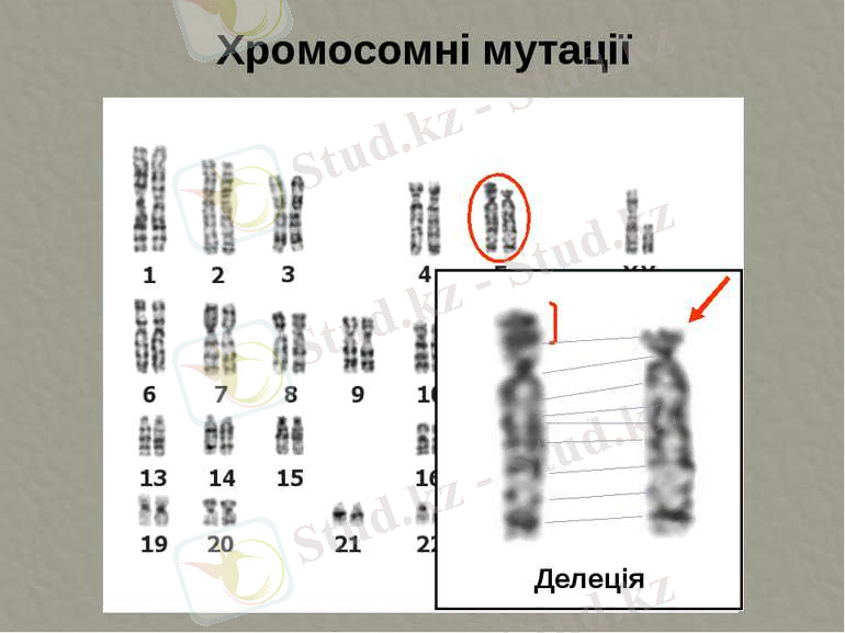 img22.jpg