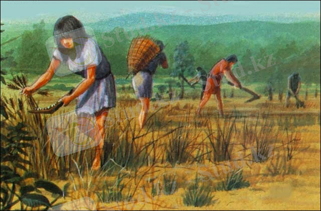 E:\Студент\Desktop\Zemledeliya-i-skotovodstvo-drevnih-lyudey.jpg