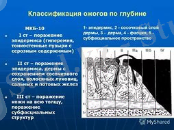 https://im3-tub-kz.yandex.net/i?id=8258056f4443235ce6ac004043bbf413&n=33&h=190&w=254