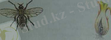 C:\Users\7E0E~1\AppData\Local\Temp\FineReader12.00\media\image15.jpeg