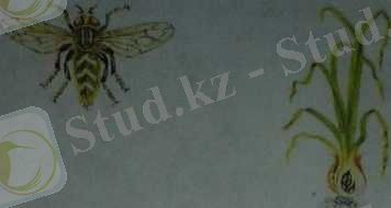 C:\Users\7E0E~1\AppData\Local\Temp\FineReader12.00\media\image16.jpeg