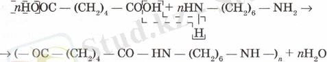 Poli29.png