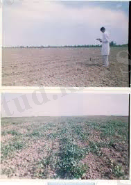 E:\Студент\Pictures\index.jpg
