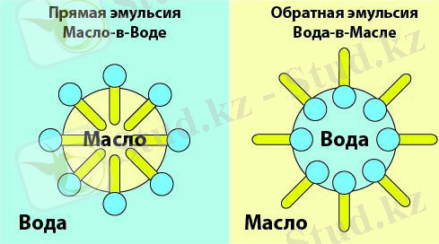 36c03e2a679e.jpg