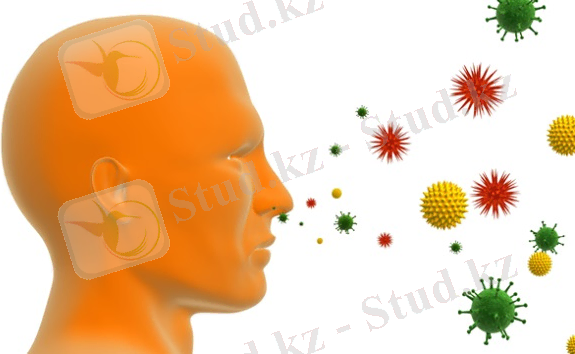 http://www.zhenskij-zhurnal.com/wp-content/uploads/2014/03/79000655_3431020_pil.jpg