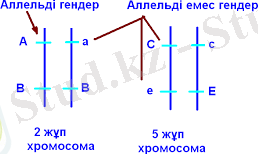 index11.png