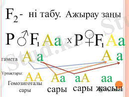 index12.jpg
