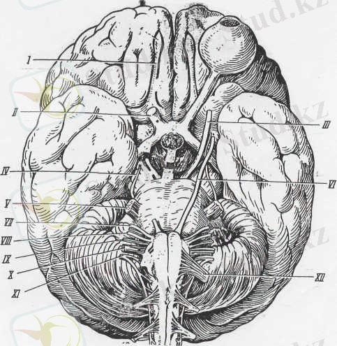 http://kaz.docdat.com/pars_docs/refs/5/4917/4917_html_m6f4dc8d0.jpg