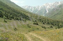 https://upload.wikimedia.org/wikipedia/commons/thumb/2/22/Aksu_Jabagly_2.JPG/220px-Aksu_Jabagly_2.JPG
