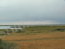 https://upload.wikimedia.org/wikipedia/commons/thumb/3/33/Korgalzhinskiy_Nature_Reserve.JPG/220px-Korgalzhinskiy_Nature_Reserve.JPG