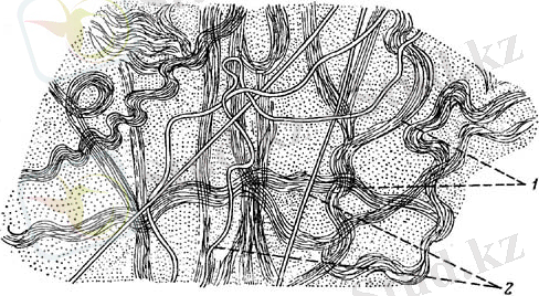 image35