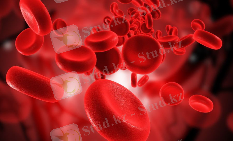 http://hohotok.net/uploads/posts/2014-03/1396018783_hohotok.net_4_338-270314-33.jpg