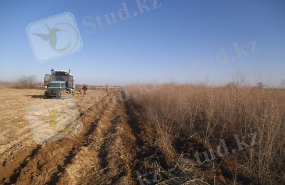 http://stgrpp.kz/images/thumbnails/images-forest-image020-560x363.jpg